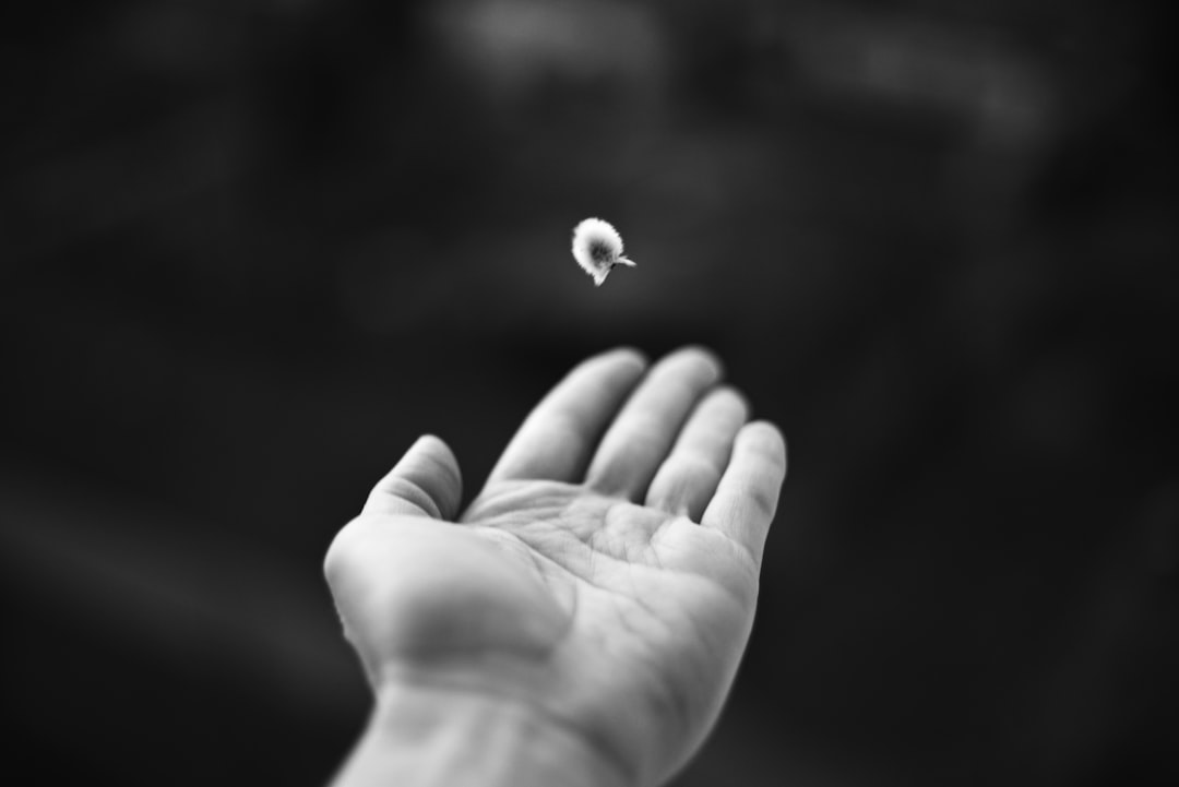 Featured Photography 6